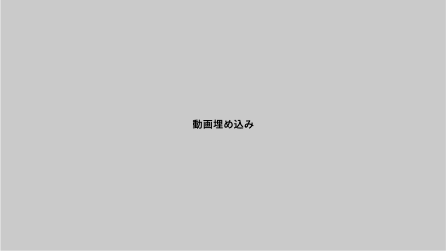動画埋め込みサンプル画像